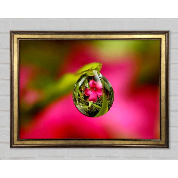 Ebern Designs Reflexion Einer Rosa Blume Einzelner Bilderrahmen